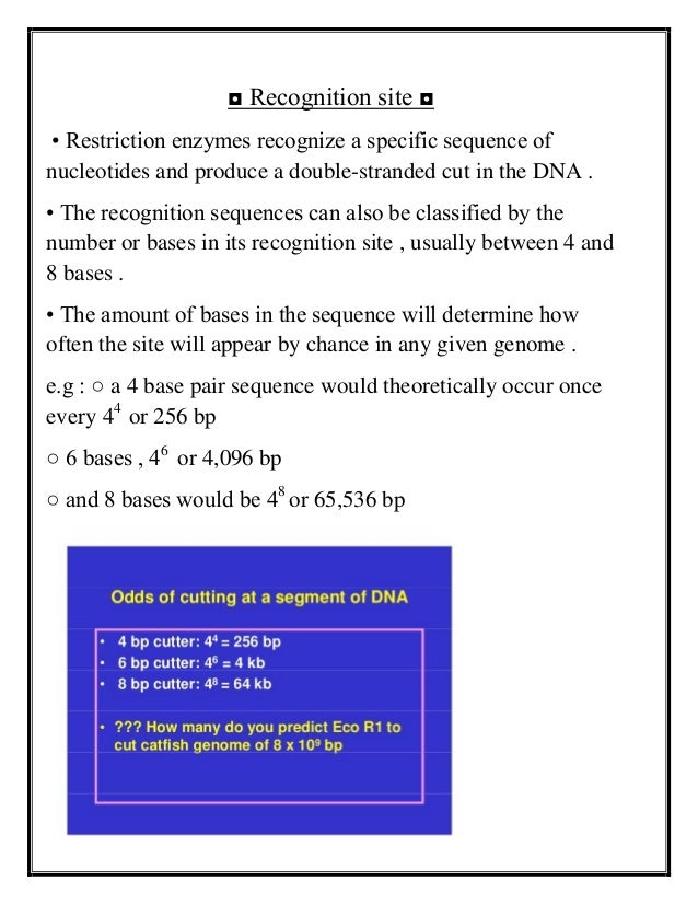 restriction enzyme recognition sites are palindromic restriction enzyme recognition sites are palindromic
