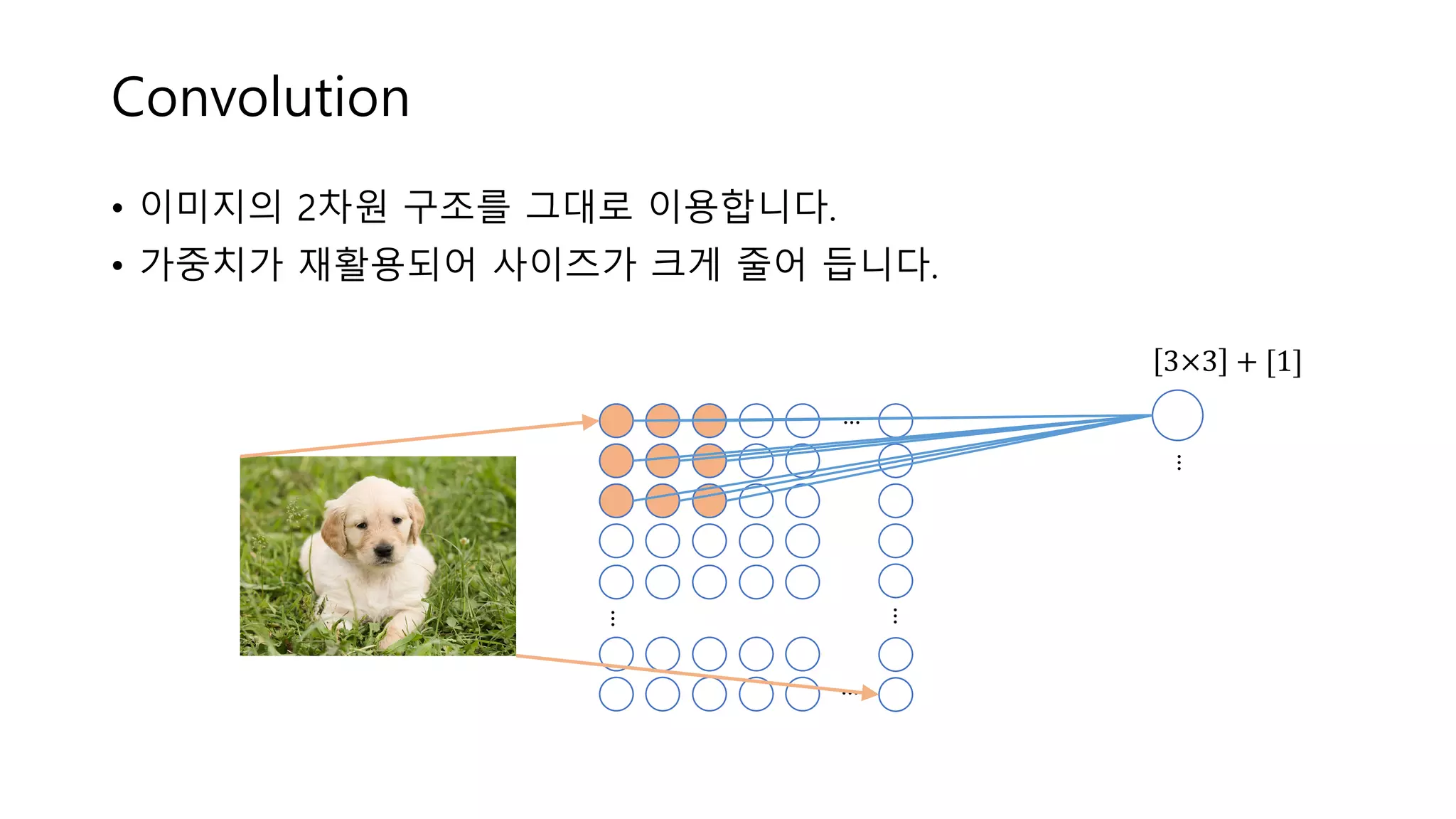 Convolution
• 이미지의 2차원 구조를 그대로 이용합니다.
• 가중치가 재활용되어 사이즈가 크게 줄어 듭니다.
...
...
...
...
3×3 + [1]
...
 