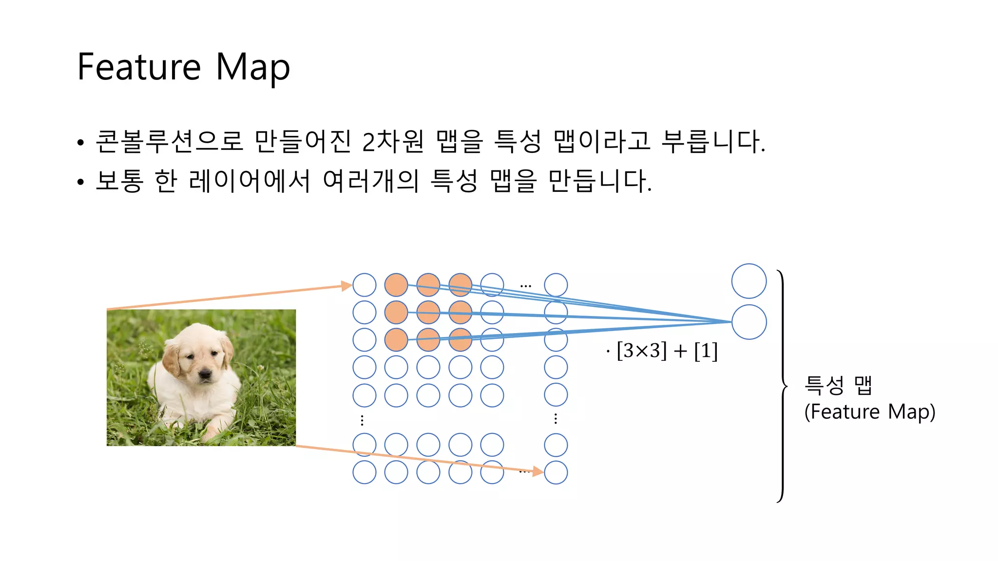 Feature Map
• 콘볼루션으로 만들어진 2차원 맵을 특성 맵이라고 부릅니다.
• 보통 한 레이어에서 여러개의 특성 맵을 만듭니다.
...
...
...
...
⋅ 3×3 + [1]
특성 맵
(Feature Map)
	
	
	
	
	
	
	
	
	
	
	
	
 