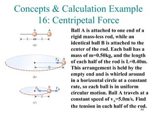 44
Concepts & Calculation Example
16: Centripetal Force
Ball A is attached to one end of a
rigid mass-less rod, while an
identical ball B is attached to the
center of the rod. Each ball has a
mass of m=0.50kg, and the length
of each half of the rod is L=0.40m.
This arrangement is held by the
empty end and is whirled around
in a horizontal circle at a constant
rate, so each ball is in uniform
circular motion. Ball A travels at a
constant speed of vA=5.0m/s. Find
the tension in each half of the rod.
 