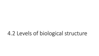 4.2 Levels of biological structure
 