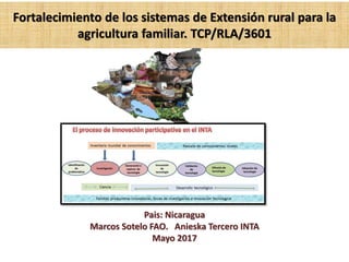 Fortalecimiento de los sistemas de Extensión rural para la
agricultura familiar. TCP/RLA/3601
Pais: Nicaragua
Marcos Sotelo FAO. Anieska Tercero INTA
Mayo 2017
 