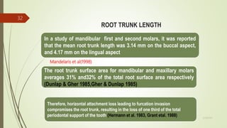 ROOT TRUNK LENGTH
In a study of mandibular first and second molars, it was reported
that the mean root trunk length was 3.14 mm on the buccal aspect,
and 4.17 mm on the lingual aspect
Mandelaris et al(1998)
The root trunk surface area for mandibular and maxillary molars
averages 31% and32% of the total root surface area respectively
(Dunlap & Gher 1985,Gher & Dunlap 1985)
Therefore, horizontal attachment loss leading to furcation invasion
compromises the root trunk, resulting in the loss of one third of the total
periodontal support of the tooth (Hermann et al. 1983, Grant etal. 1988)
32
5/28/2017
 