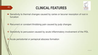CLINICAL FEATURES
 Sensitivity to thermal changes caused by caries or lacunar resorption of root in
furcation
 Recurrent or constant throbbing pain caused by pulp changes
 Sensitivity to percussion caused by acute inflammatory involvement of the PDL
 Acute periodontal or periapical abscess formation
45
5/28/2017
 