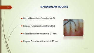MANDIBULAR MOLARS
 Buccal Furcation ≥ 3mm from CEJ
 Lingual Furcation≥ 4mm from CEJ
 Buccal Furcation entrance ≤ 0.7 mm
 Lingual Furcation entrance ≥ 0.75 mm
50
5/28/2017
 