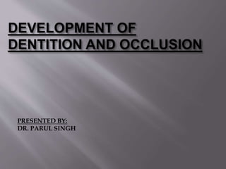 DEVELOPMENT OF
DENTITION AND OCCLUSION
PRESENTED BY:
DR. PARUL SINGH
 