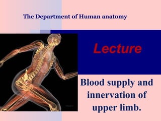 The Department of Human anatomy
Blood supply and
innervation of
upper limb.
Lecture
 