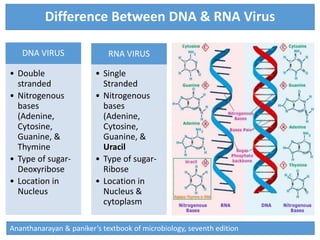 Virus Structure