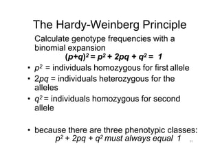 Bases of human genetic. Method of studying of human heredity | PPTX