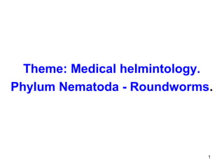 1
Theme: Medical helmintology.
Phylum Nematoda - Roundworms.
 