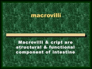 macrovilli
Macrovilli & cript are
structural & functional
component of intestine
 