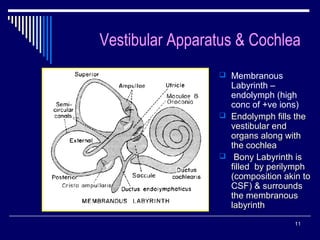 4. equilibrium of body | PPT