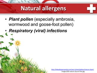 Natural allergens
images/926-nature-clip-art-free.jpg
• Plant pollen (especially ambrosia,
wormwood and goose-foot pollen)
• Respiratory (viral) infections
http://hdwallpaperspretty.com/wp-content/gallery/nature-clipart-
 