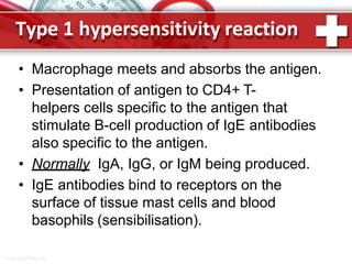Type 1 hypersensitivity reaction
ProPowerPoint.Ru
• Macrophage meets and absorbs the antigen.
• Presentation of antigen to CD4+ T-
helpers cells specific to the antigen that
stimulate B-cell production of IgE antibodies
also specific to the antigen.
• Normally IgA, IgG, or IgM being produced.
• IgE antibodies bind to receptors on the
surface of tissue mast cells and blood
basophils (sensibilisation).
 