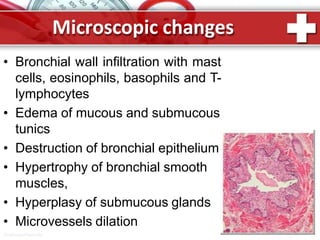 Microscopic changes
• Bronchial wall infiltration with mast
cells, eosinophils, basophils and T-
lymphocytes
• Edema of mucous and submucous
tunics
• Destruction of bronchial epithelium
• Hypertrophy of bronchial smooth
muscles,
• Hyperplasy of submucous glands
• Microvessels dilation
ProPowerPoint.Ru
 