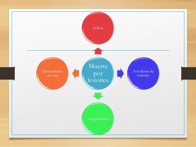 Etapas Del Mtodo Cientfico Quieres Saber Cuantas Son Y