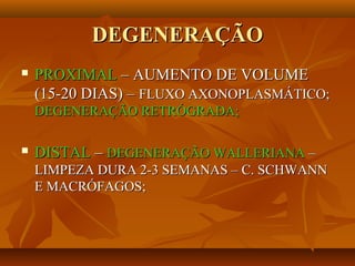 DEGENERAÇÃODEGENERAÇÃO
 PROXIMALPROXIMAL – AUMENTO DE VOLUME– AUMENTO DE VOLUME
(15-20 DIAS) –(15-20 DIAS) – FLUXO AXONOPLASMÁTICO;FLUXO AXONOPLASMÁTICO;
DEGENERAÇÃO RETRÓGRADA;DEGENERAÇÃO RETRÓGRADA;
 DISTALDISTAL –– DEGENERAÇÃO WALLERIANADEGENERAÇÃO WALLERIANA ––
LIMPEZA DURA 2-3 SEMANAS – C. SCHWANNLIMPEZA DURA 2-3 SEMANAS – C. SCHWANN
E MACRÓFAGOS;E MACRÓFAGOS;
 