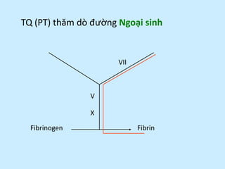 TQ (PT) thăm dò đường Ngoại sinh
Fibrinogen Fibrin
VII
V
X
 