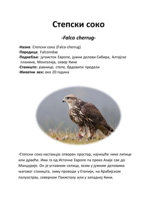 Степски соко
-Falco cherrug-
-Назив: Степски соко (Falco cherrug)
-Породица: Falconidae
-Поднебље: југоисток Европе, јужни делови Сибира, Алтајске
планине, Монголија, север Кине
-Станиште: равнице, степе, брдовити предели
-Животни век: око 20 година
-Степски соко настањује отворен простор, најчешће неке литице
или дрвеће. Има га од Источне Европе па преко Азије све до
Манџурије. Он је углавном селица, осим у јужним деловима
његовог станишта, зиму проводи у Етопији, на Арабијском
полуострву, северном Пакистану или у западној Кини.
 