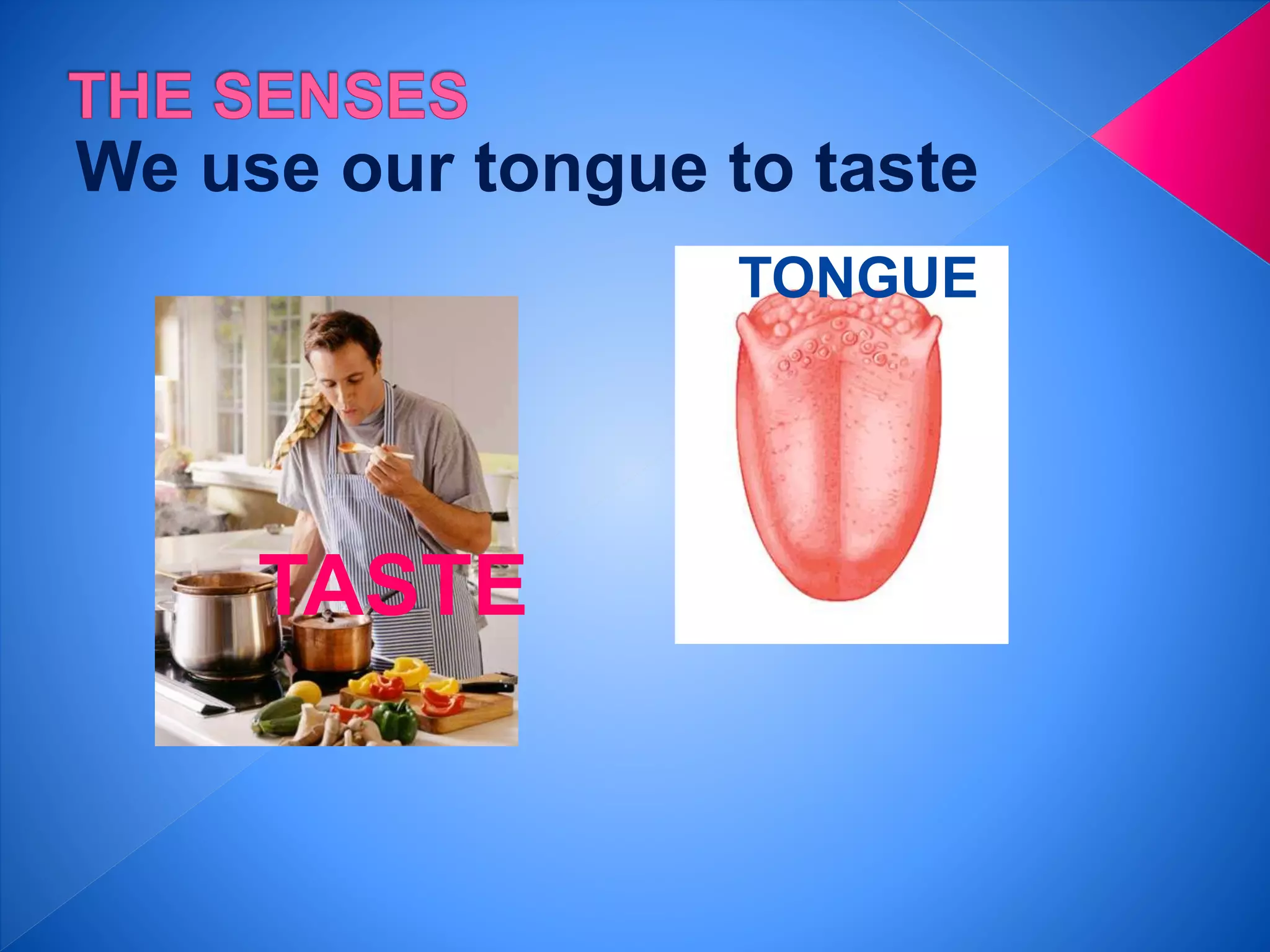 We use our tongue to taste
TASTE
TONGUE
 