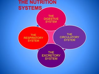 THE
DIGESTIVE
SYSTEM
THE
CIRCULATORY
SYSTEM
THE
EXCRETORY
SYSTEM
THE
RESPIRATORY
SYSTEM
 