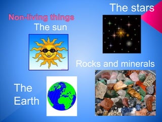 The sun
The stars
Rocks and minerals
The
Earth
 