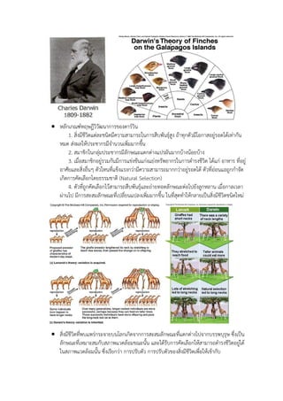  หลักเกณฑ์ทฤษฎีวิวัฒนาการของดาร์วิน
1. สิ่งมีชีวิตแต่ละชนิดมีความสามารถในการสืบพันธุ์สูง ถ้าทุกตัวมีโอกาสอยู่รอดได้เท่ากัน
หมด ส่งผลให้ประชากรมีจานวนเพิ่มมากขึ้น
2. สมาชิกในกลุ่มประชากรมีลักษณะแตกต่างแปรผันมากบ้างน้อยบ้าง
3. เมื่อสมาชิกอยู่รวมกันมีการแข่งขันแก่งแย่งทรัพยากรในการดารงชีวิต ได้แก่ อาหาร ที่อยู่
อาศัยและสิ่งอื่นๆ ตัวใหนที่แข็งแรงกว่ามีความสามารถมากกว่าอยู่รอดได้ ตัวที่อ่อนแอถูกกาจัด
เกิดการคัดเลือกโดยธรรมชาติ (Natural Selection)
4. ตัวที่ถูกคัดเลือกไว้สามารถสืบพันธุ์และถ่ายทอดลักษณะต่อไปยังลูกหลาน เมื่อกาลเวลา
ผ่านไป มีการสะสมลักษณะที่เปลี่ยนแปลงเพิ่มมากขึ้น ในที่สุดทาให้กลายเป็นสิ่งมีชีวิตชนิดใหม่
 สิ่งมีชีวิตที่พบแพร่กระจายบนโลกเกิดจากการสะสมลักษณะที่แตกต่างไปจากบรรพบุรุษ ซึ่งเป็น
ลักษณะที่เหมาะสมกับสภาพแวดล้อมขณะนั้น และได้รับการคัดเลือกให้สามารถดารงชีวิตอยู่ได้
ในสภาพแวดล้อมนั้น ซึ่งเรียกว่า การปรับตัว การปรับตัวของสิ่งมีชีวิตเพื่อให้เข้ากับ
 