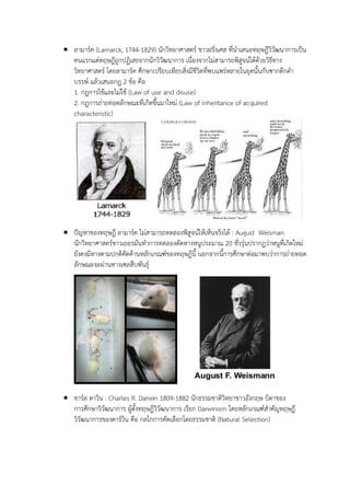  ลามาร์ค (Lamarck, 1744-1829) นักวิทยาศาสตร์ ชาวฝรั่งเศส ที่นาเสนอทฤษฎีวิวัฒนาการเป็น
คนแรกแต่ทฤษฎีถูกปฏิเสธจากนักวิวัฒนาการ เนื่องจากไม่สามารถพิสูจน์ได้ด้วยวิธีทาง
วิทยาศาสตร์ โดยลามาร์ค ศึกษาเปรียบเทียบสิ่งมีชีวิตที่พบแพร่หลายในยุคนั้นกับซากดึกดา
บรรพ์ แล้วเสนอกฎ 2 ข้อ คือ
1. กฎการใช้และไม่ใช้ (Law of use and disuse)
2. กฎการถ่ายทอดลักษณะที่เกิดขึ้นมาใหม่ (Law of inheritance of acquired
characteristic)
 ปัญหาของทฤษฎี ลามาร์ค ไม่สามารถทดลองพิสูจน์ให้เห็นจริงได้ : August Weisman
นักวิทยาศาสตร์ชาวเยอรมันทาการทดลองตัดหางหนูประมาณ 20 ชั่วรุ่นปรากฏว่าหนูที่เกิดใหม่
ยังคงมีหางตามปกติคัดค้านหลักเกณฑ์ของทฤษฏีนี้ นอกจากนี้การศึกษาต่อมาพบว่าการถ่ายทอด
ลักษณะจะผ่านทางเซลสืบพันธุ์
 ชาร์ล ดาวิน : Charles R. Darwin 1809-1882 นักธรรมชาติวิทยาชาวอังกฤษ บิดาของ
การศึกษาวิวัฒนาการ ผู้ตั้งทฤษฎีวิวัฒนาการ เรียก Darwinism โดยหลักเกณฑ์สาคัญทฤษฎี
วิวัฒนาการของดาร์วิน คือ กลไกการคัดเลือกโดยธรรมชาติ (Natural Selection)
 