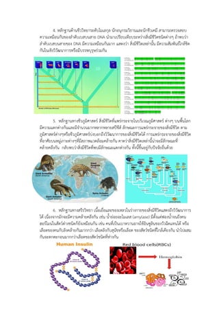 4. หลักฐานด้านชีววิทยาระดับโมเลกุล นักอนุกรมวิธานและนักชีวเคมี สามารถตรวจสอบ
ความเหมือนกันของลาดับเบสบนสาย DNA นามาเปรียบเทียบระหว่างสิ่งมีชีวิตชนิดต่างๆ ถ้าพบว่า
ลาดับเบสบนสายของ DNA มีความเหมือนกันมาก แสดงว่า สิ่งมีชีวิตเหล่านั้น มีความสัมพันธ์ใกล้ชิด
กันในเชิงวิวัฒนาการหรือมีบรรพบุรุษร่วมกัน
5. หลักฐานทางชีวภูมิศาสตร์ สิ่งมีชีวิตที่แพร่กระจายในบริเวณภูมิศาสตร์ ต่างๆ บนพื้นโลก
มีความแตกต่างกันและมีจานวนมากหลากหลายสปีชีส์ ลักษณะการแพร่กระจายของสิ่งมีชีวิต ตาม
ภูมิศาสตร์ต่างๆหรือชีวภูมิศาสตร์บ่งบอกถึงวิวัฒนาการของสิ่งมีชีวิตได้ การแพร่กระจายของสิ่งมีชีวิต
ที่อาศัยบนหมู่เกาะต่างๆที่มีสภาพแวดล้อมคล้ายกัน คาดว่าสิ่งมีชีวิตเหล่านี้น่าจะมีลักษณะที่
คล้ายคลึงกัน กลับพบว่าสิ่งมีชีวิตที่พบมีลักษณะแตกต่างกัน ทั้งนี้ขึ้นอยู่กับปัจจัยอื่นด้วย
6. หลักฐานทางสรีรวิทยา เนื้อเยื่อและของเหลวในร่างกายของสิ่งมีชีวิตแสดงถึงวิวัฒนาการ
ได้ เนื่องจากมักจะมีความคล้ายคลึงกัน เช่น น้าย่อยอะไมเลส (amylase) มีตั้งแต่ฟองน้าจนถึงคน
ฮอร์โมนในสัตว์ต่างชนิดก็ยังเหมือนกัน เช่น คนที่เป็นเบาหวานอาจใช้อินซูลินของวัวฉีดแทนได้ หรือ
เลือดของคนกับลิงคล้ายกันมากกว่า เลือดลิงกับสุนัขหรือเลือด ของสัตว์ชนิดที่ใกล้เคียงกัน นาไปผสม
กันจะตกตะกอนมากกว่าเลือดของสัตว์ชนิดที่ห่างกัน
 