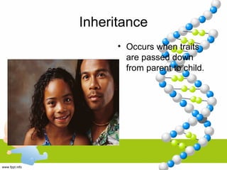 Inheritance
• Occurs when traits
are passed down
from parent to child.
 