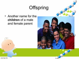 Offspring
• Another name for the
children of a male
and female parent
 