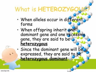 What is HETEROZYGOUS?
• When alleles occur in different
forms
• When offspring inherit one
dominant gene and one recessive
gene, they are said to be
heterozygous
• Since the dominant gene will be
expressed, they are said to be
heterozygous dominant
 