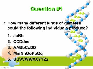 Question #1Question #1
• How many different kinds of gametesgametes
could the following individuals produce?
1.1. aaBbaaBb
2.2. CCDdeeCCDdee
3.3. AABbCcDDAABbCcDD
4.4. MmNnOoPpQqMmNnOoPpQq
5.5. UUVVWWXXYYZzUUVVWWXXYYZz
 