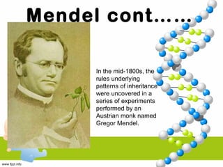 Mendel cont……
In the mid-1800s, the
rules underlying
patterns of inheritance
were uncovered in a
series of experiments
performed by an
Austrian monk named
Gregor Mendel.
 