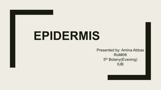 EPIDERMIS
Presented by: Amina Abbas
Roll#06
5th Botany(Evening)
IUB
 