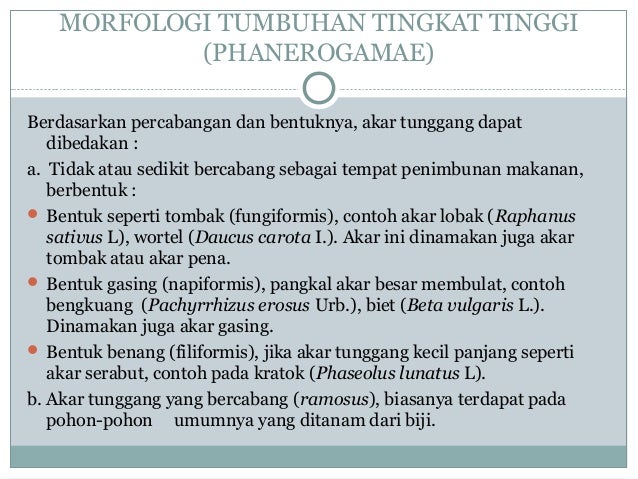 Biologi Tanaman : Terminologi dan morfologi tumbuhan