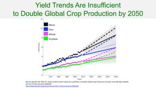 Genome Editing: A Disruptive Technology for Accelerating Breeding