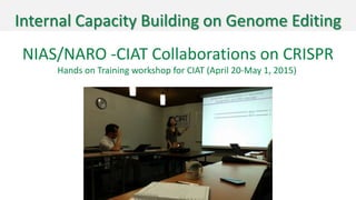 Genome Editing: A Disruptive Technology for Accelerating Breeding