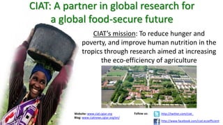 Genome Editing: A Disruptive Technology for Accelerating Breeding