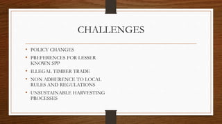 CHALLENGES
• POLICY CHANGES
• PREFERENCES FOR LESSER
KNOWN SPP
• ILLEGAL TIMBER TRADE
• NON ADHERENCE TO LOCAL
RULES AND R...