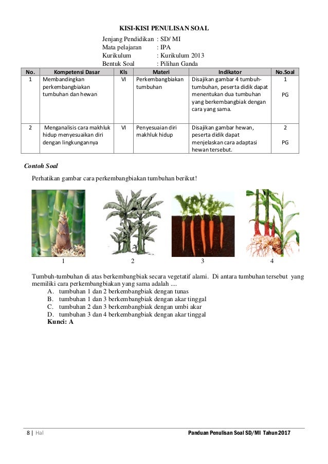 Pedoman Penulisan Soal Sd Juni 2017