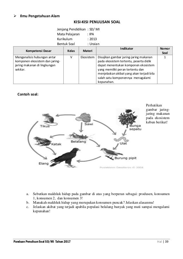 26+ Contoh soal materi ekosistem ideas