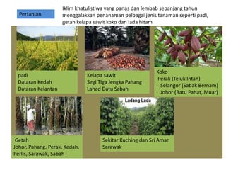 4.2 Pengaruh cuaca dan Iklim kpd kegiatan manusia di Malaysia