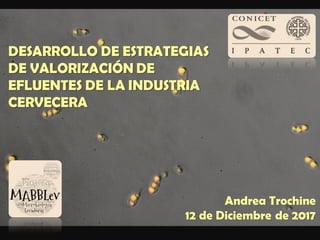 DESARROLLO DE ESTRATEGIAS
DE VALORIZACIÓN DE
EFLUENTES DE LA INDUSTRIA
CERVECERA
Andrea Trochine
12 de Diciembre de 2017
 