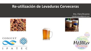 Re-utilización de Levaduras Cerveceras
Dra. Clara Bruzone
clarabruzone@gmail.com
 