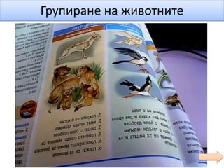 Групиране на животните
 