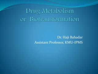 Dr. Haji Bahadar
Assistant Professor, KMU-IPMS
 