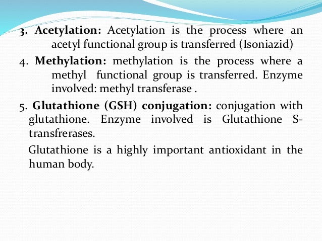 Hydroxychloroquine maculopathy screening