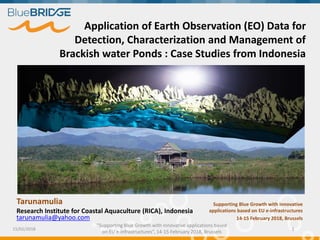"Supporting Blue Growth with innovative applications based
on EU e-infrastructures”, 14-15 February 2018, Brussels
15/02/2018 1
Application of Earth Observation (EO) Data for
Detection, Characterization and Management of
Brackish water Ponds : Case Studies from Indonesia
Tarunamulia
Research Institute for Coastal Aquaculture (RICA), Indonesia
tarunamulia@yahoo.com
Supporting Blue Growth with innovative
applications based on EU e-infrastructures
14-15 February 2018, Brussels
 