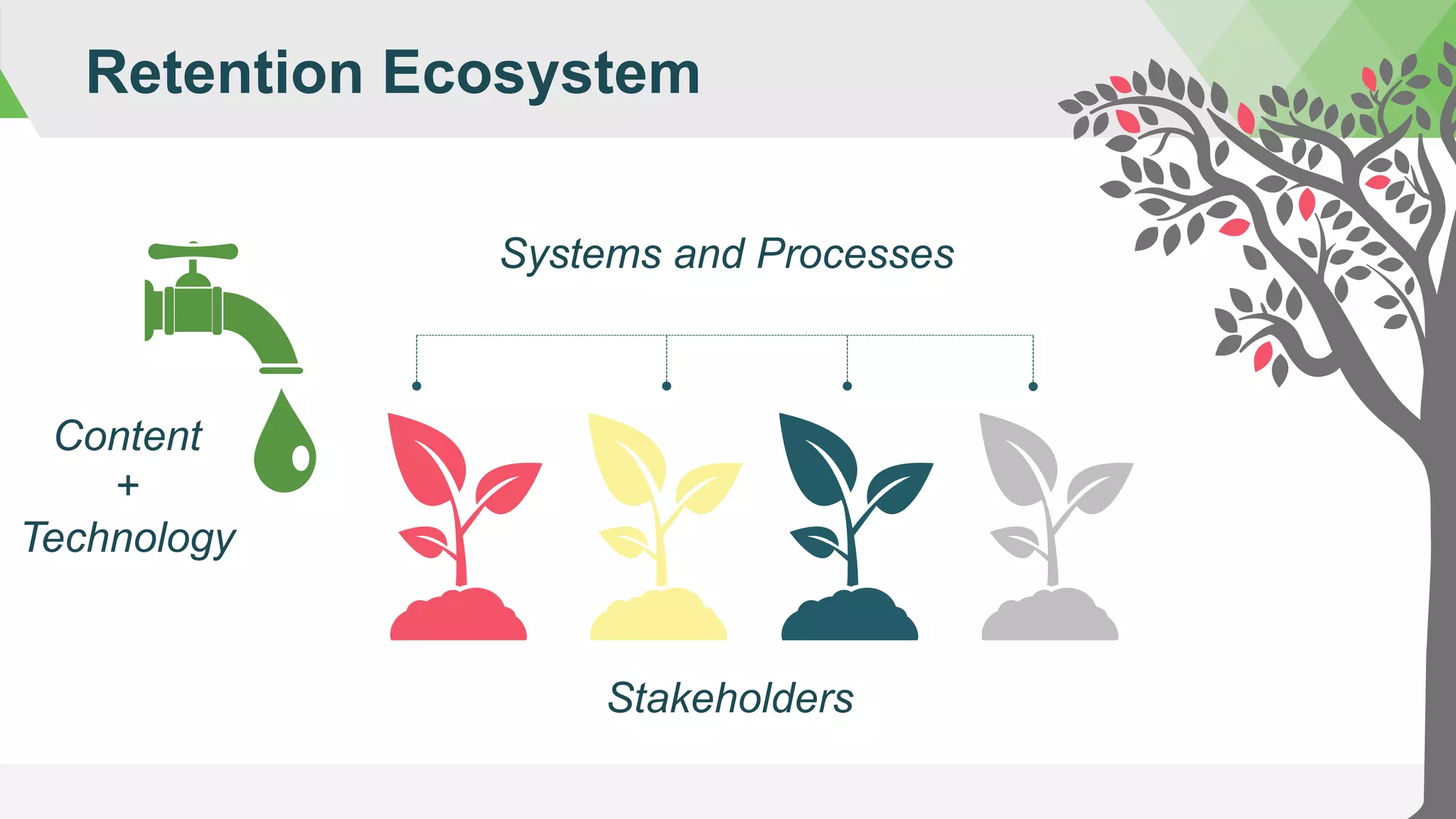 Retention Ecosystem
Content
+
Technology
Systems and Processes
Stakeholders
 